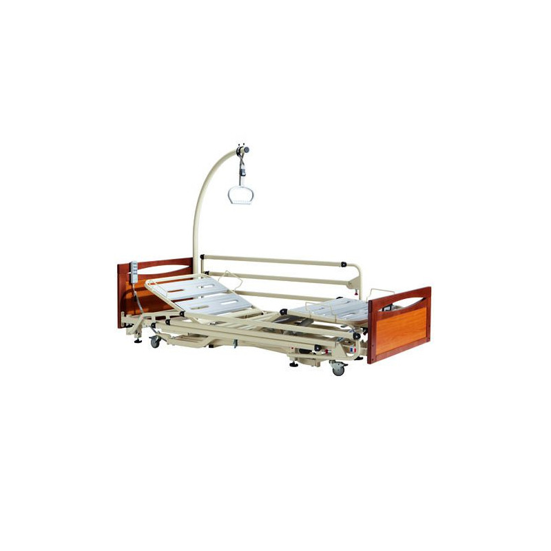 Lit médicalisé Alzheimer euro 3800