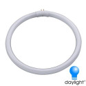 Tube circulaire Daylight? à économie d'énergie de 28W Tube circulaire Daylight? à économie d'énergie de 28W