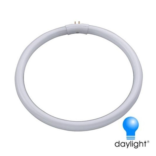 Tube circulaire Daylight? à économie d'énergie de 28W Tube circulaire Daylight? à économie d'énergie de 28W
