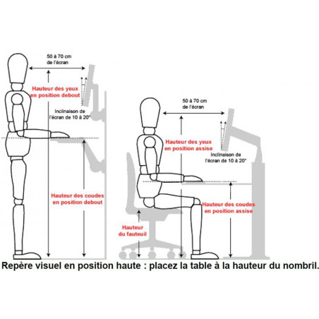 Bureau assis debout 2 moteurs DYNAMIC 140 x 70cm : Devis sur Techni-Contact  - Bureau assis debout électrique