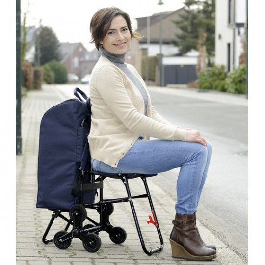 Chariot De Courses Carlett Avec Siège | Acheter Et Faire De Courses