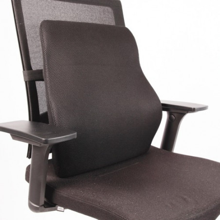Coussin visco lombaire ergonomique
