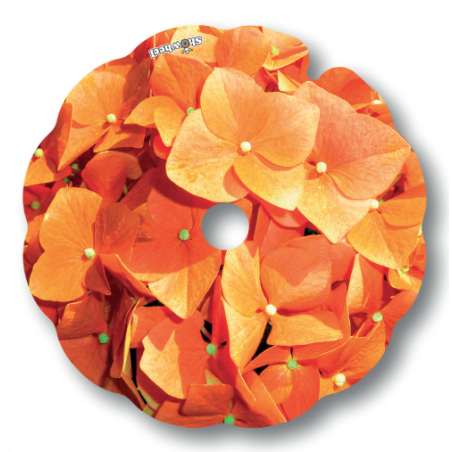 Flasque fauteuil roulant Hortensia orange