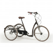 Tricycle vintage - Remise en forme - Tous Ergo