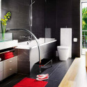 Marchepied et poignée de bain Hydrus acier inoxydable Marchepied et poignée de bain Hydrus acier inoxydable
