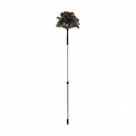Plumeau téléscopique à long manche