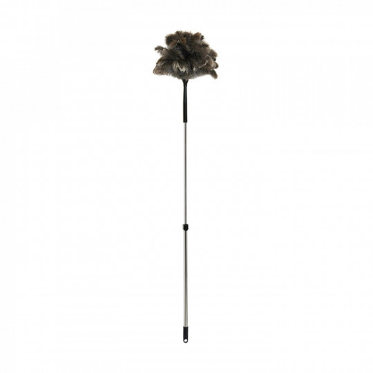Plumeau téléscopique à long manche