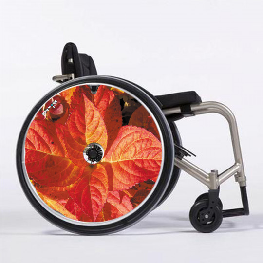 Flasque fauteuil roulant Feuilles rouges - Mobilité - Tous ergo