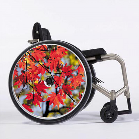 Flasque fauteuil roulant Erable - Mobilité - Tous ergo