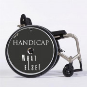 Flasque fauteuil roulant Handicap what else ! - Mobilité - Tous ergo