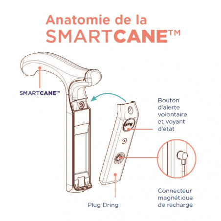 SMARTCANE SMARTCANE