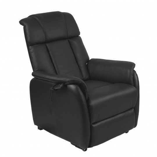 Fauteuil Releveur 2 Moteurs