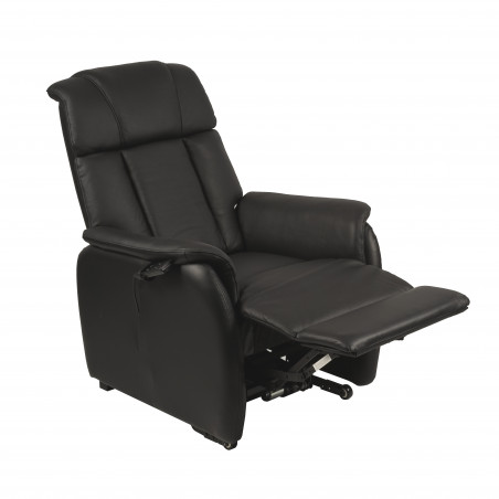 Fauteuil Releveur 2 Moteurs Fauteuil Releveur 2 Moteurs