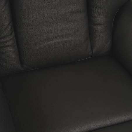 Fauteuil Releveur 2 Moteurs Fauteuil Releveur 2 Moteurs