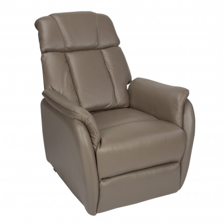 Fauteuil Releveur 2 Moteurs