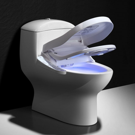 Abattant wc japonais Luxe Silver – Dracénie Provence Verdon Agglomération