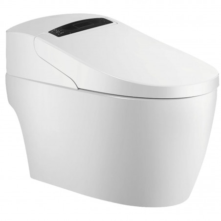 WC lavant monobloc Platinium 2