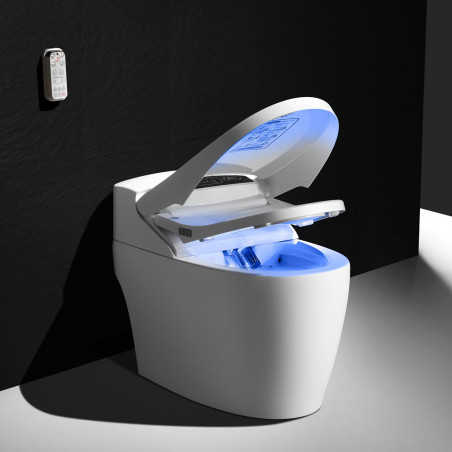 WC lavant monobloc Platinium 2