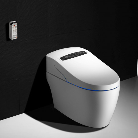 WC lavant monobloc Platinium 2