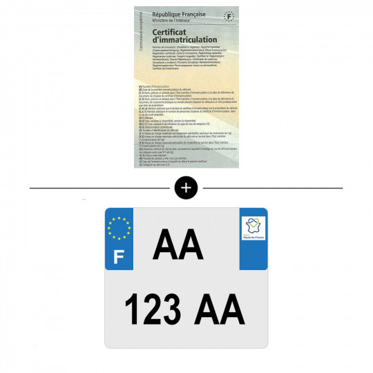 Ensemble carte grise + plaque d'immatriculation posée pour scooter E-Trankily