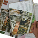 Loupe rigide Page Loupe rigide Page