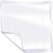 Alèse jetable SENI Soft Normal 40 x 60 cm