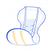 Protection anatomique San SENI Normal