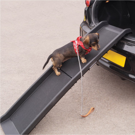 Rampe d'accès pliable pour animaux Rampe d'accès pliable pour animaux