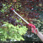 Sécateur à long manche