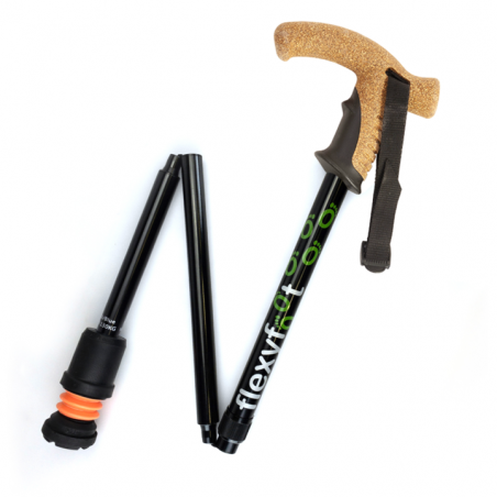 Bâton de marche Flexyfoot