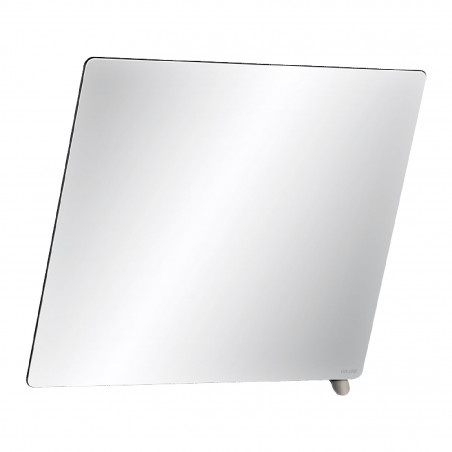 Miroir inclinable facilement installable Delabie