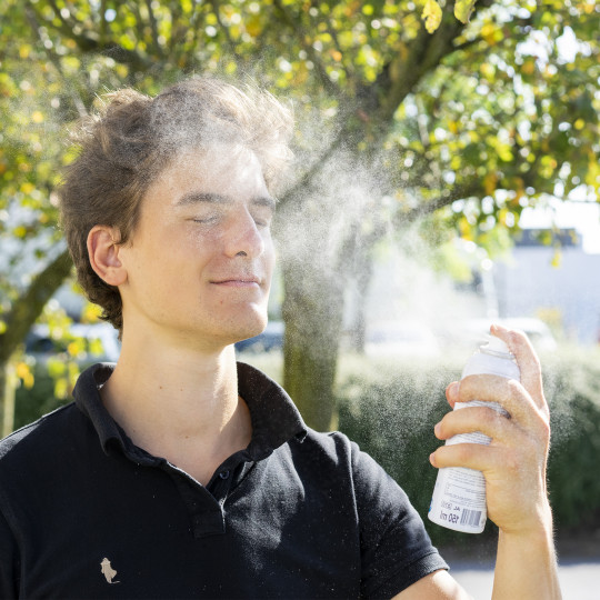 Atomiseur d'eau de source 400 ml TEHA