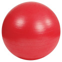 Ballon de rééducation Gym Ball