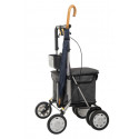 Chariot Lett 800 Carlett