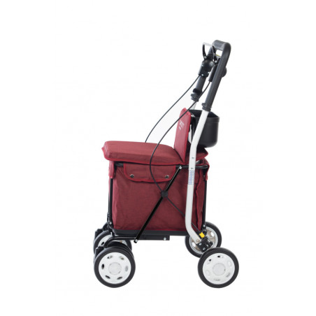 Chariot Lett 800 Carlett