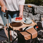 Plateau pour déambulateur...
