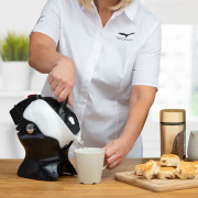 Bouilloire électrique à bascule