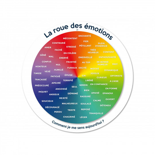 Roue des émotions Grand format + 27 cubes
