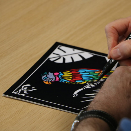 Lot de 4 cartes à dessiner en velours Lot de 4 cartes à dessiner en velours