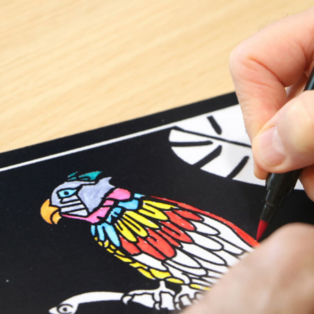 Lot de 4 cartes à dessiner en velours Lot de 4 cartes à dessiner en velours