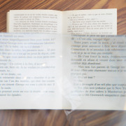 Loupe avec pince articulé flexible