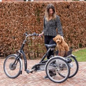 Tricycle PMR Maxi Confort Van Raam