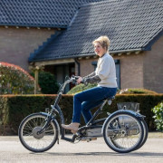 Tricycle PMR Maxi Confort Van Raam