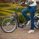 Tricycle PMR Maxi Confort Van Raam