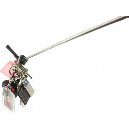 Ramasse objet Telestik