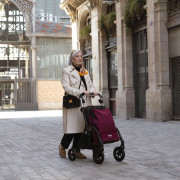 Chariot de course d'aide à la marche R05 - Playcare