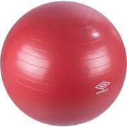Ballon de rééducation Gym Ball