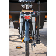 Vélo cargo Chat Van Raam (à assistance électrique)