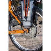 Vélo cargo Chat Van Raam (à assistance électrique)
