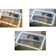 Loupe lumineuse avec poignée XL